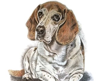 Custom Hand Drawn Colored Pencil Lifelike/Realistic Artwork Done Working From Your Pet's Photos Super Gift for Owners or for Passing