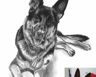 Custom Hand Drawn Portrait Sketch from Photos of Your Pet Lifelike Art for Professional Commission Great Gift