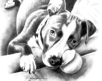 Pitbull Pet Portrait Custom Dog Personalized Pencil Drawing Gift Idea 8x10 Size Made to Order