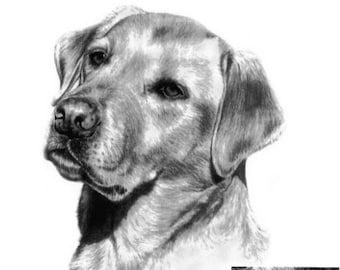 1 SUBJECT Hand Drawn Detailed 4x6 Pet Portrait Graphite Pencil Sketch Drawing Done from Your Photos Real Looking Art