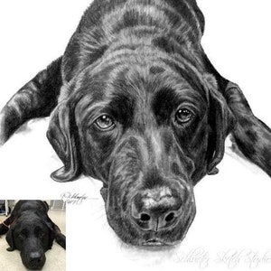 Custom Pet Portrait 4x4 Pencil Artwork Hand Drawn Gift Idea for Pet Lover Loss Memorial Special Option