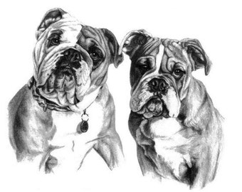 Hand Drawn Pencil Pet Portrait with 2 Subjects Realistic Lifelike Sketch Art from Your Photos