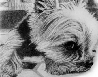 8x10" Dog Memorial Custom Pet Portrait Dog Drawing Pencil Sketch Gift Idea for Pet Parent Who Lost their Furbaby