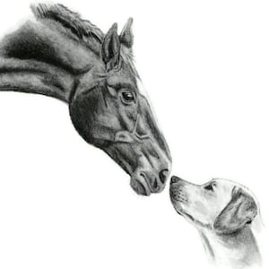 Horse and Dog 8x10 Sketch Art Hand Drawn Pencil Sketch Portrait 2 Friends Pet Owner Gift Original Drawing