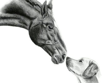 Horse and Dog 11x14 Size Sketch Custom Hand Drawn Pencil Sketch Portrait of 2 Friends Pet Owner Gift