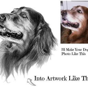 8x10" Pet Portrait Original Custom Drawing of Your Dog Pencil Sketch Likeness Lifelike Art of Your Pet