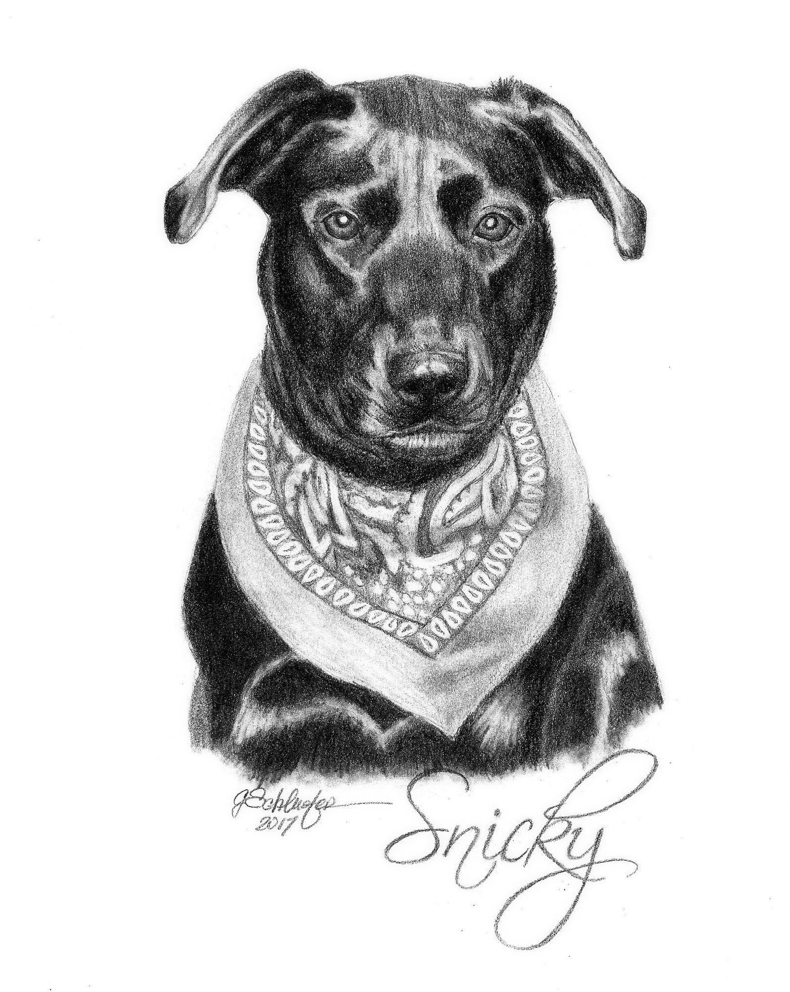 Custom Pet Portrait Hand Drawn Pencil Sketch From Photo Etsy