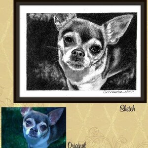 Custom Pet Portrait Hand Drawn Pencil Sketch From Photo RUSH Order ...