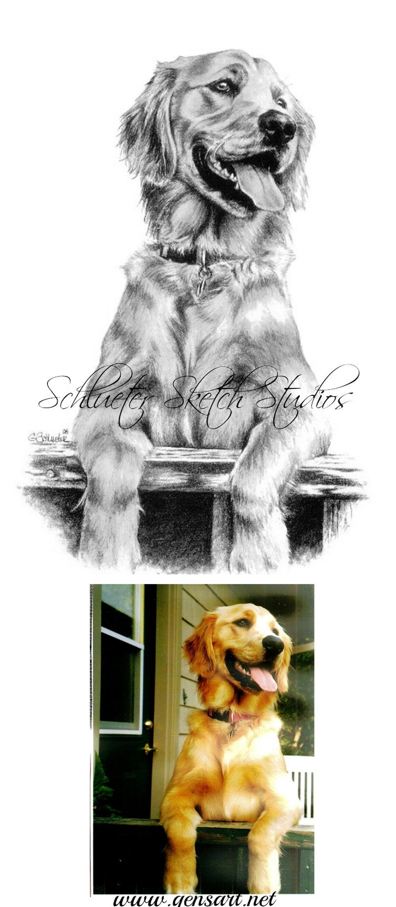 8x10 Golden Retriever Hand Drawn Pencil Sketch From Photo Customized Art Mom Gifts Lifelike Pet Portrait image 5