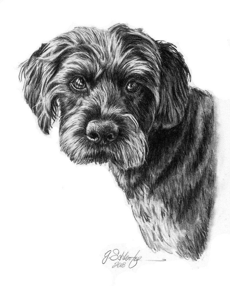 8x10 Dog Memorial Custom Pet Portrait Dog Drawing Pencil Etsy