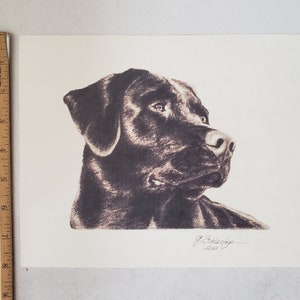 8x10 Black Lab/Labrador Dog Sketch Pet Portrait Print of Original Hand Drawn Pencil Drawing Lifelike Ships Fast image 4