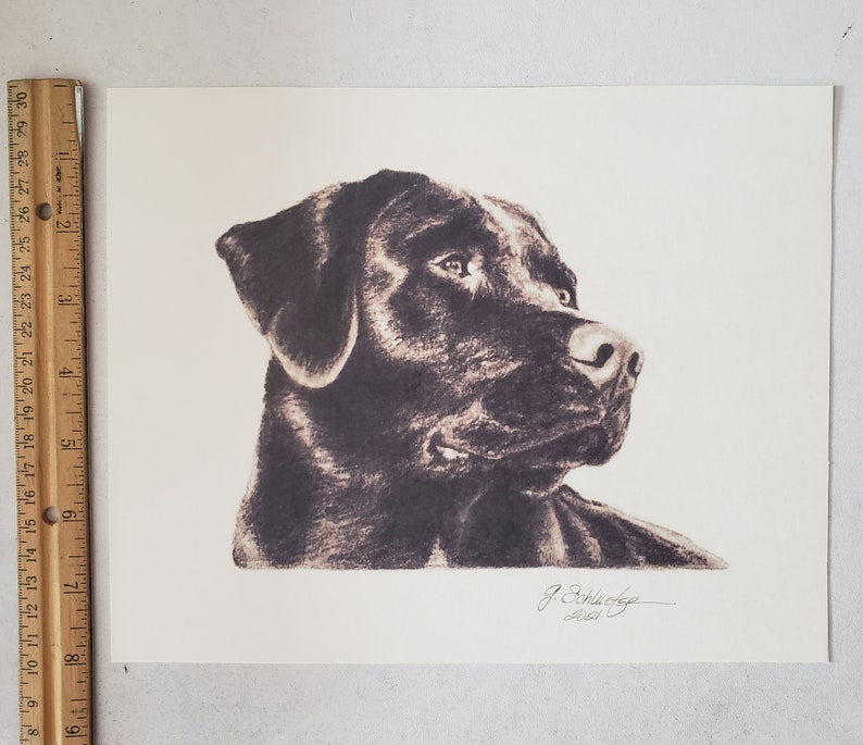 8x10 Black Lab/Labrador Dog Sketch Pet Portrait Print of Original Hand Drawn Pencil Drawing Lifelike Ships Fast image 4