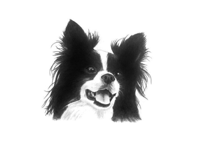 Pet Portrait Custom