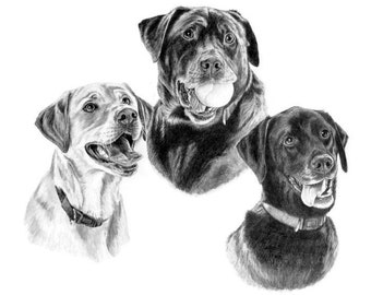 8x10 3 Subject Custom Pet Portrait Commissioned Hand Drawn Pencil Dog Artwork from Photos