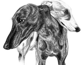 Print of Hand Drawn Sketch of 2 Greyhounds Art Pet Portrait Dog Drawing 8x10" Size Hound Art