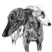see more listings in the Purebred Dog Prints  section