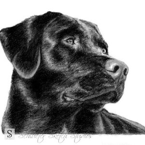 Stampa di schizzo di cane Labrador/Labrador nero 8x10, ritratto di animale domestico, disegno a matita originale disegnato a mano, realistico, spedizione veloce