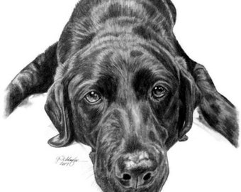 5x7" Custom Pet Portrait Hand Sketched Pencil Portrait Pet Loss Bereavement Memorial Gift Idea Pencil Art