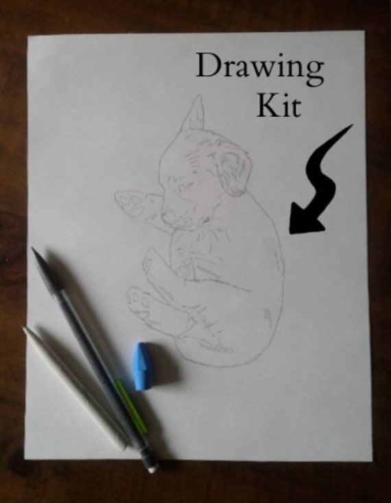 Learn to Draw Pre-outlined Pencil & Paper Drawing Kit W/ Tutorial Easy at  Home Craft Art Activity Project for Boy or Girl 8x10 