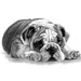 see more listings in the Purebred Dog Prints  section