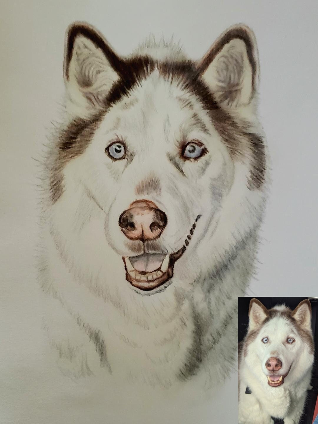 Husky pencil drawing - Etsy 日本