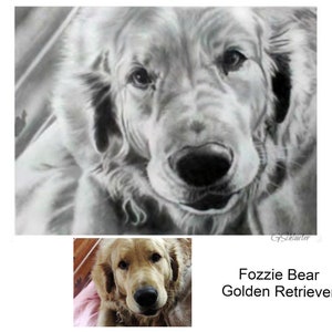 8x10 Golden Retriever Hand Drawn Pencil Sketch From Photo Customized Art Mom Gifts Lifelike Pet Portrait image 2