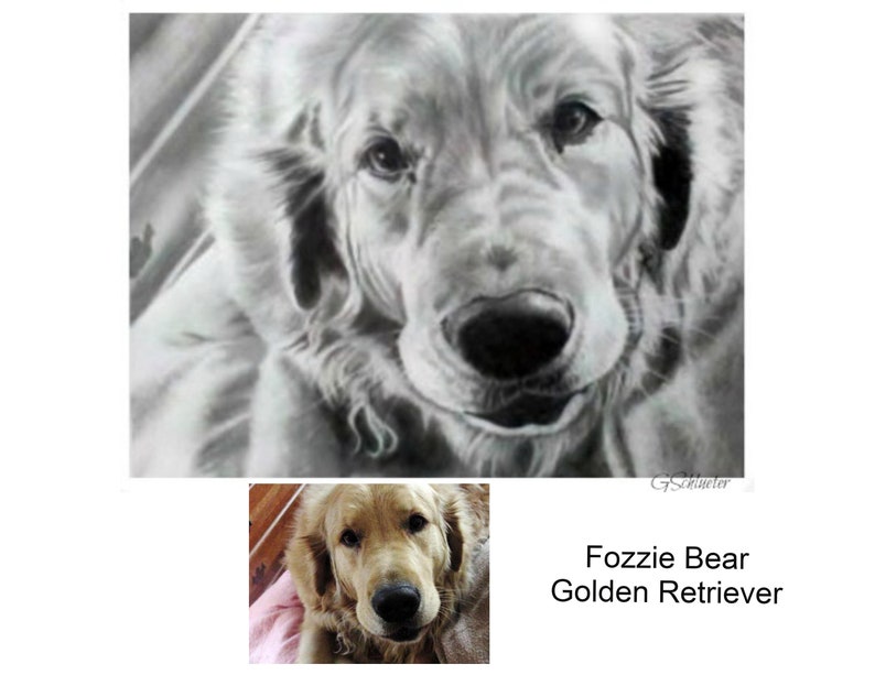 8x10 Golden Retriever Hand Drawn Pencil Sketch From Photo Customized Art Mom Gifts Lifelike Pet Portrait image 2