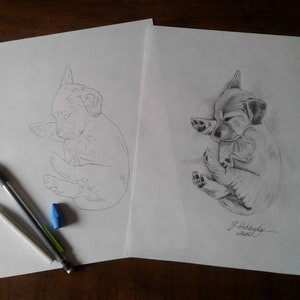 Learn to Draw Pre-outlined Pencil & Paper Drawing Kit W/ Tutorial Easy ...