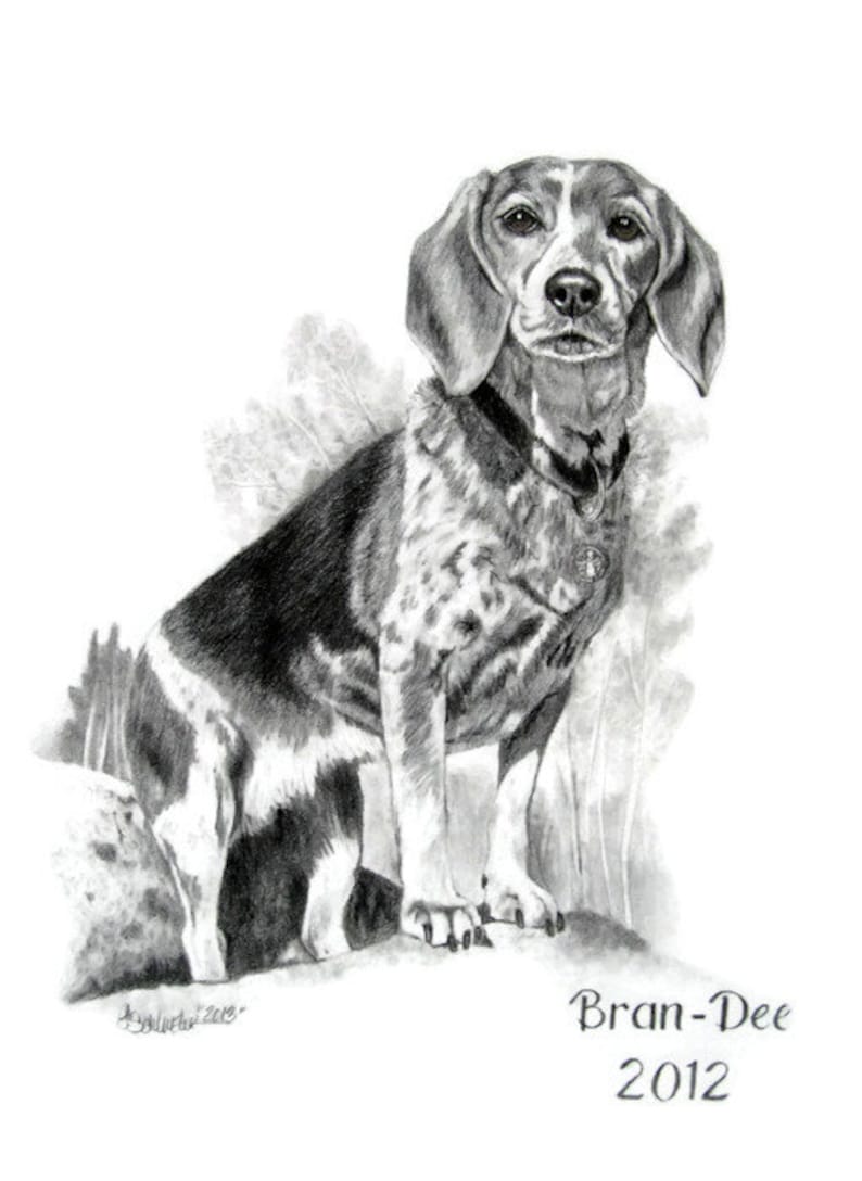 Gift Idea For Him Original Custom Pet Portrait from Photo Pencil Drawing of Your Dog