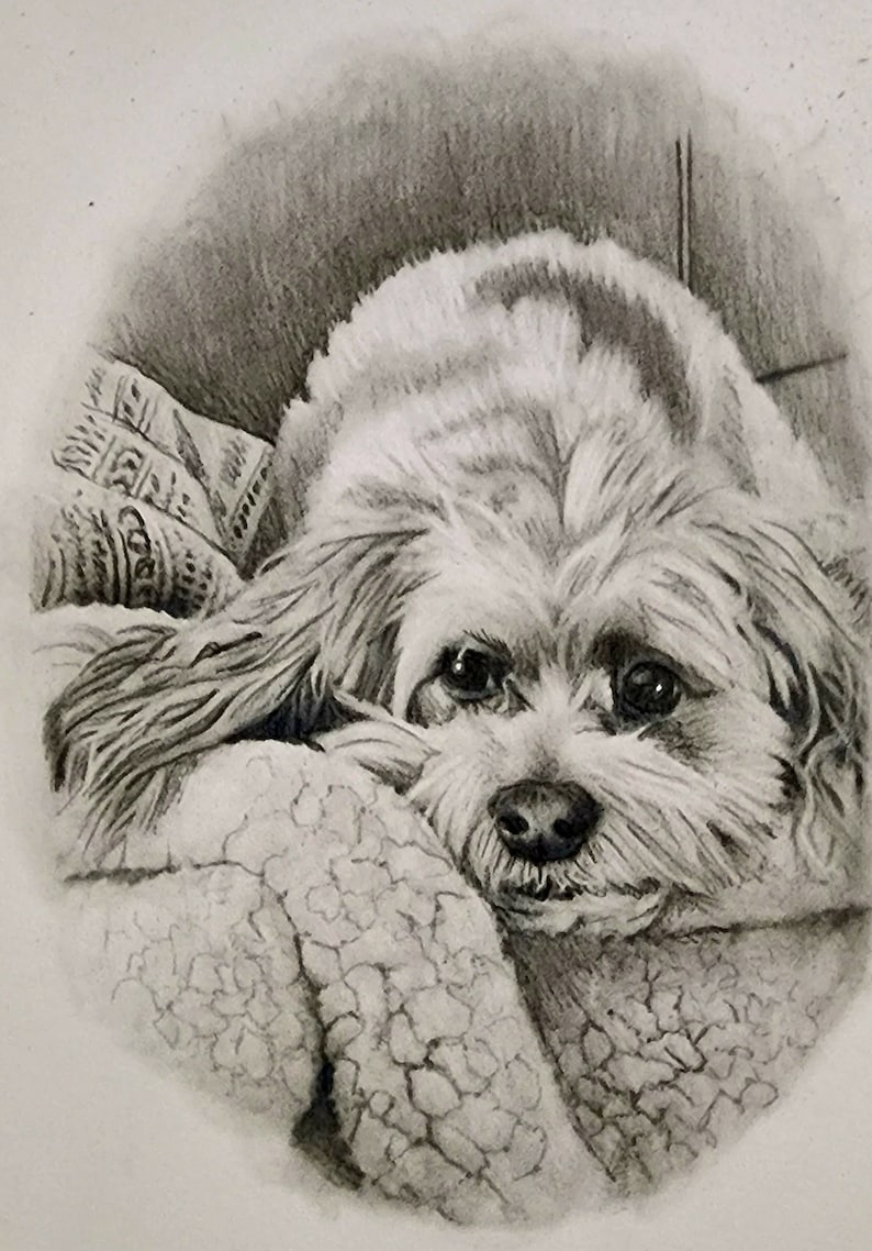 Custom Pet Portrait, Graphite Pencil Sketch, Hand Drawn Art (4x6") - Etsy