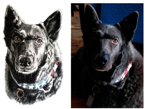 8x10 Custom Pet Portrait Pet Sketch Draw My Dog Charcoal Pencil Sketch Of Drawing Portrait