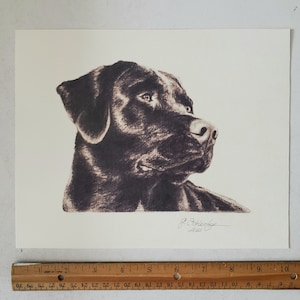8x10 Black Lab/Labrador Dog Sketch Pet Portrait Print of Original Hand Drawn Pencil Drawing Lifelike Ships Fast image 3
