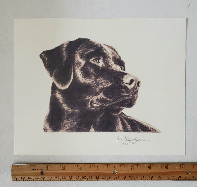 8x10 Black Lab/Labrador Dog Sketch Pet Portrait Print of Original Hand Drawn Pencil Drawing Lifelike Ships Fast image 3