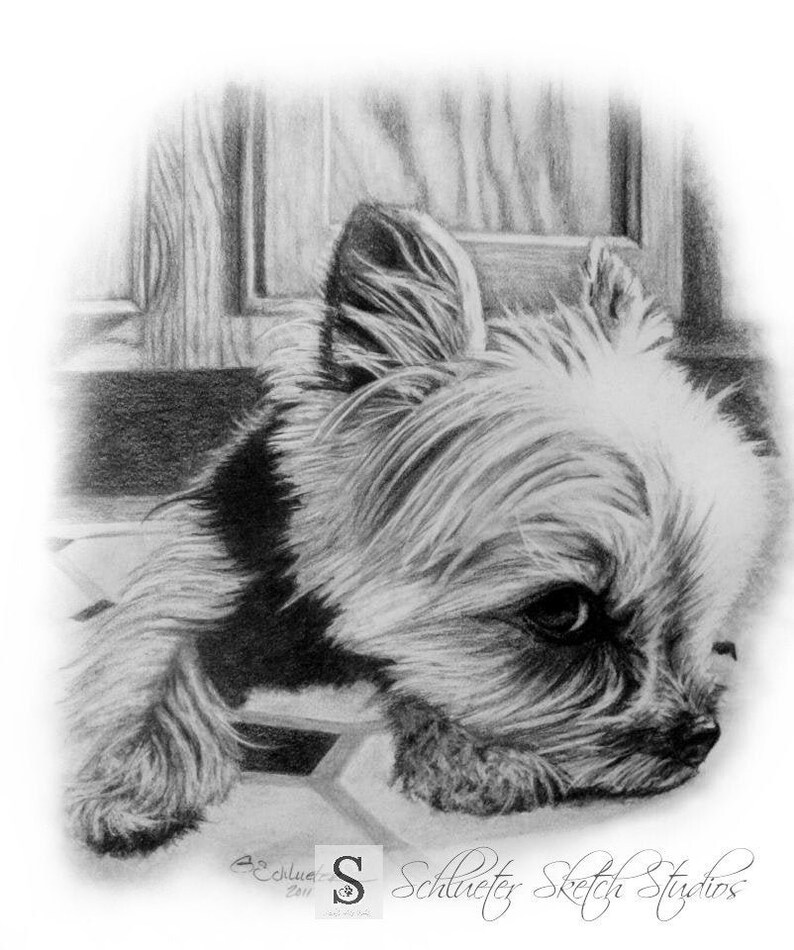8x10 Dog Memorial Custom Pet Portrait Dog Drawing Pencil Etsy