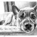 see more listings in the Pet Portraits 8x10 section