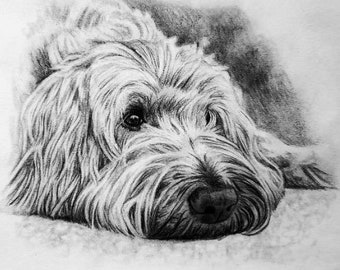 Special 5x7" Size & Specially Limited Sale Priced All Hand Drawn Detailed Pet Portrait in Pencil from Your Photos