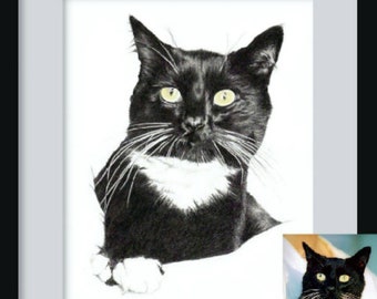 16x20" Custom Pet Portraits Single Subject Drawing Personalized Pencil Sketch from Photos Lifelike Recreation