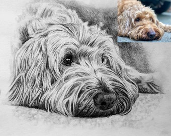 5x7" Hand Drawn Pencil Pet Portrait from Your Photos, 1 Subject, Specialty Priced Art Limited Time