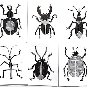 3 LINOCUT PRINTS - Set of 3 block print insects 8x10 bugs - entomology poster set - insect relief prints - linoleum block print - wall art