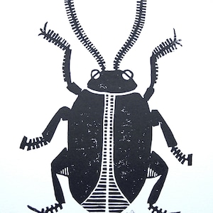 Beetle linocut print - bug poster - letterpress paper - Hand pulled insect wall art - Linoleum block relief print - printmaking wood block