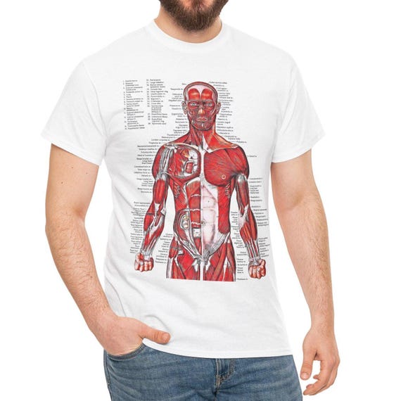 カート・コバーンのお気に入りのTシャツ：解剖学Tシャツ、人体筋肉図