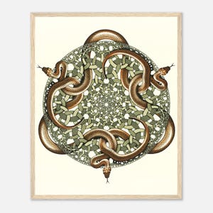 May include: A framed print featuring a detailed illustration of three brown snakes coiled around a central geometric design. The snakes have textured scales and are positioned against a backdrop of interwoven green and beige patterns. The artwork is set against a cream-colored background.