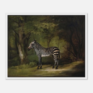 George Stubbs, Zebra, Art Print, English Painter, Vintage Animal Illustration, Classic Wildlife Art, Historical Zebra Reproduction
