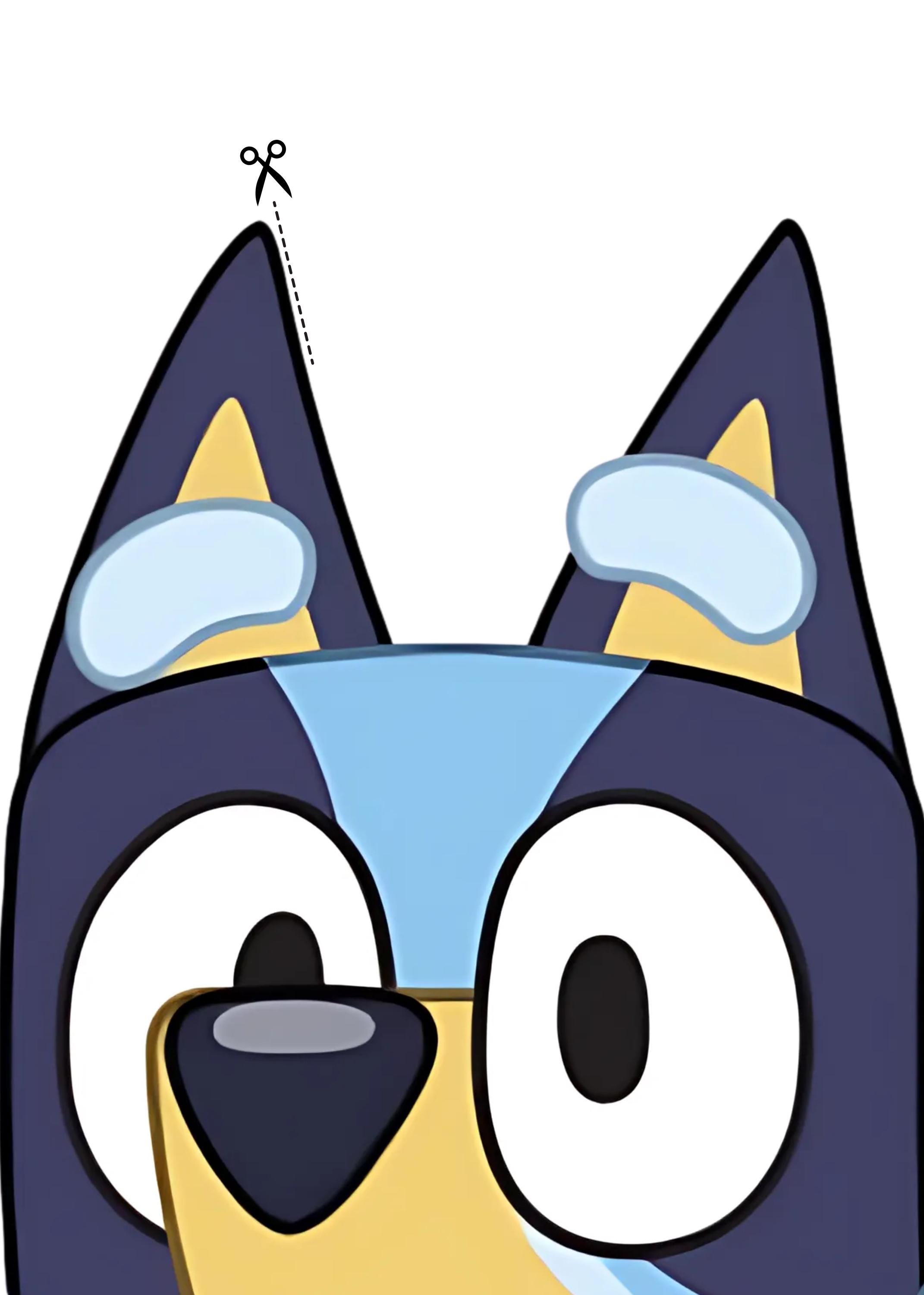 Bluey Episode-Themed Birthday Invitation β 'Serenity Turns Four!'