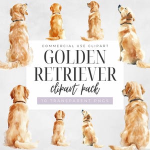 Golden Retriever From Back Clipart, Transparent Png, Realistic Dog Breeds Graphic, Commercial Use, Dog Owner Gift Clip Art, Digital Download