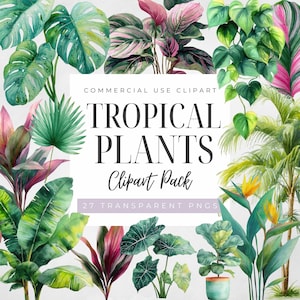 May include: Watercolor illustration of various tropical plants, including monstera, palm leaves, and other foliage. The image includes the text "TROPICAL PLANTS Clipart Pack" and "27 TRANSPARENT PNGS". The image is labeled "COMMERCIAL USE CLIPART".
