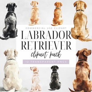 Labrador Retriever von hinten Clipart, transparenter Png, realistische Hunderassen Grafik, kommerzielle Nutzung, Hundebesitzer Geschenk Clip Art, digitaler Download