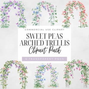 Traliccio ad arco di piselli odorosi, Clipart floreale ad acquerello, Fiori per inviti di nozze, Download immediato, Uso commerciale, PNG trasparente