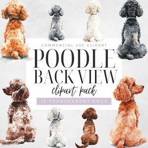 Standard Poodle Clipart, Cute Dogs From Back Transparent Png, Realistic Dog Breeds Graphic, Commercial Use, Dog Owner Gift, Digital Download