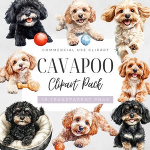 Hund Clipart Cavapoo, niedliche Welpen transparente Png, realistische Hunderassen Grafiken, kommerzielle Nutzung, Hund Besitzer Geschenk Clip Art, digitaler Download